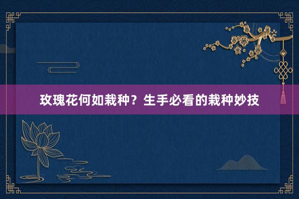 玫瑰花何如栽种？生手必看的栽种妙技