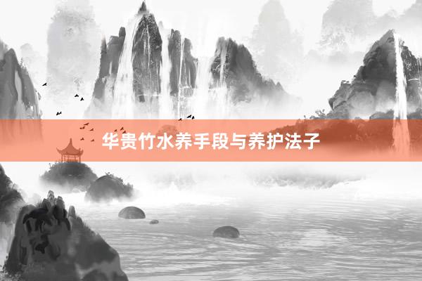 华贵竹水养手段与养护法子