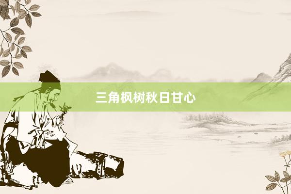 三角枫树秋日甘心