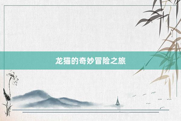 龙猫的奇妙冒险之旅