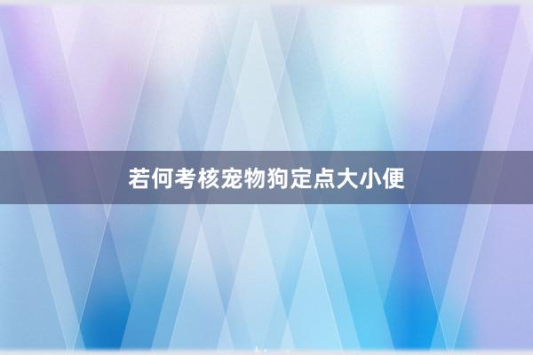 若何考核宠物狗定点大小便