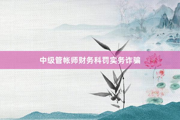 中级管帐师财务科罚实务诈骗